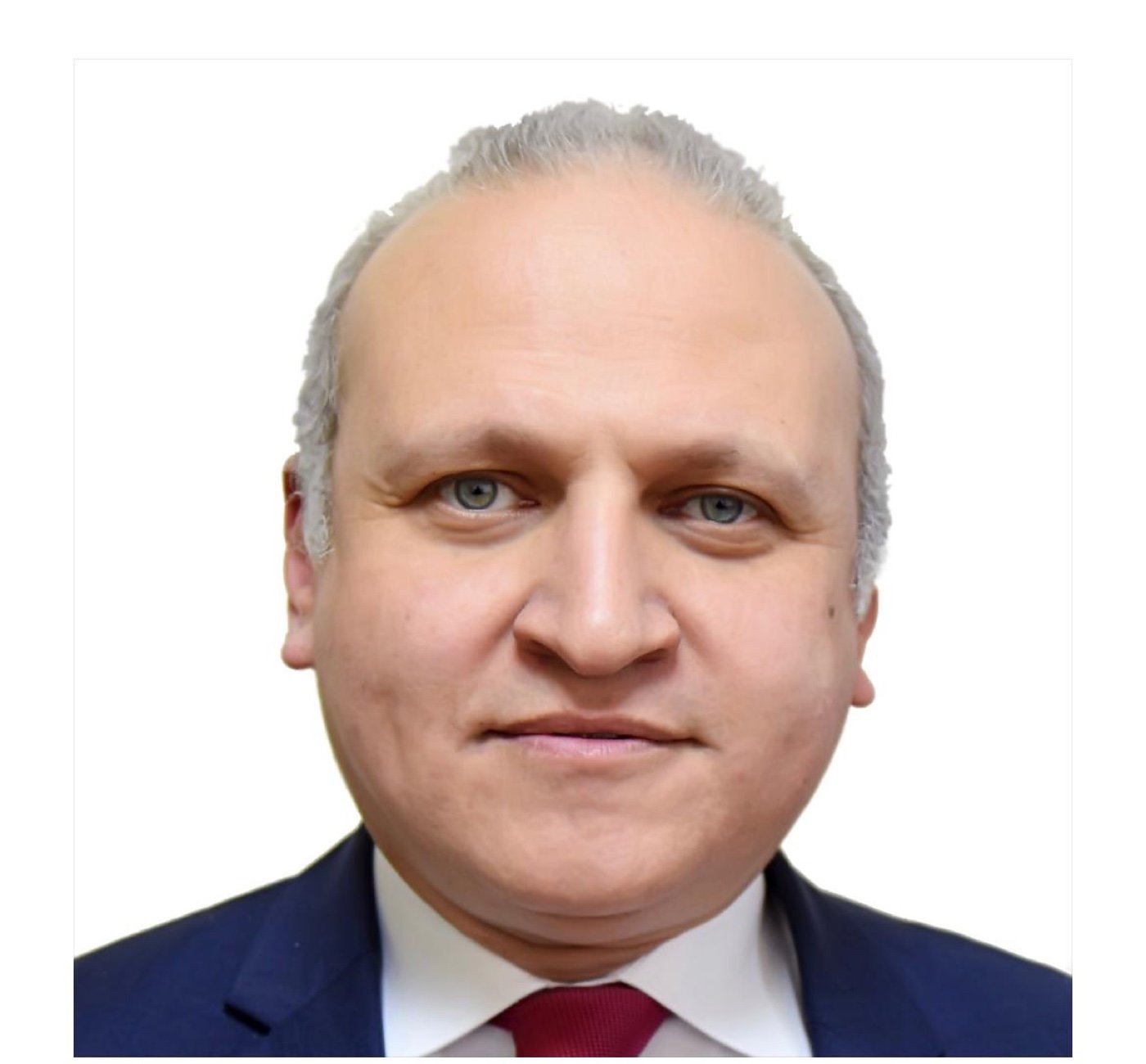 Portrait photograph of Prof Mohamed Sameh Amr.